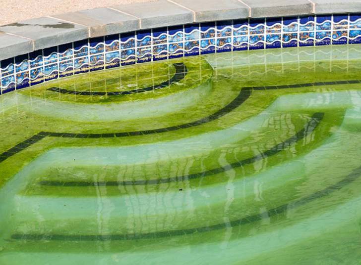 Comment rattraper une eau de piscine verte rapidement ?