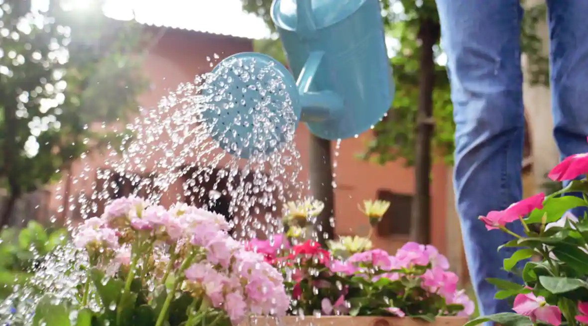Peut-on utiliser l’eau de sa piscine pour arroser son jardin ?